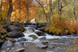 Water Rights Assistance